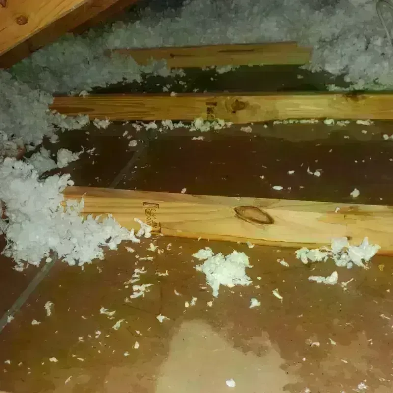 Attic Water Damage in Crump, TN